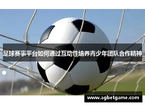 足球赛事平台如何通过互动性培养青少年团队合作精神